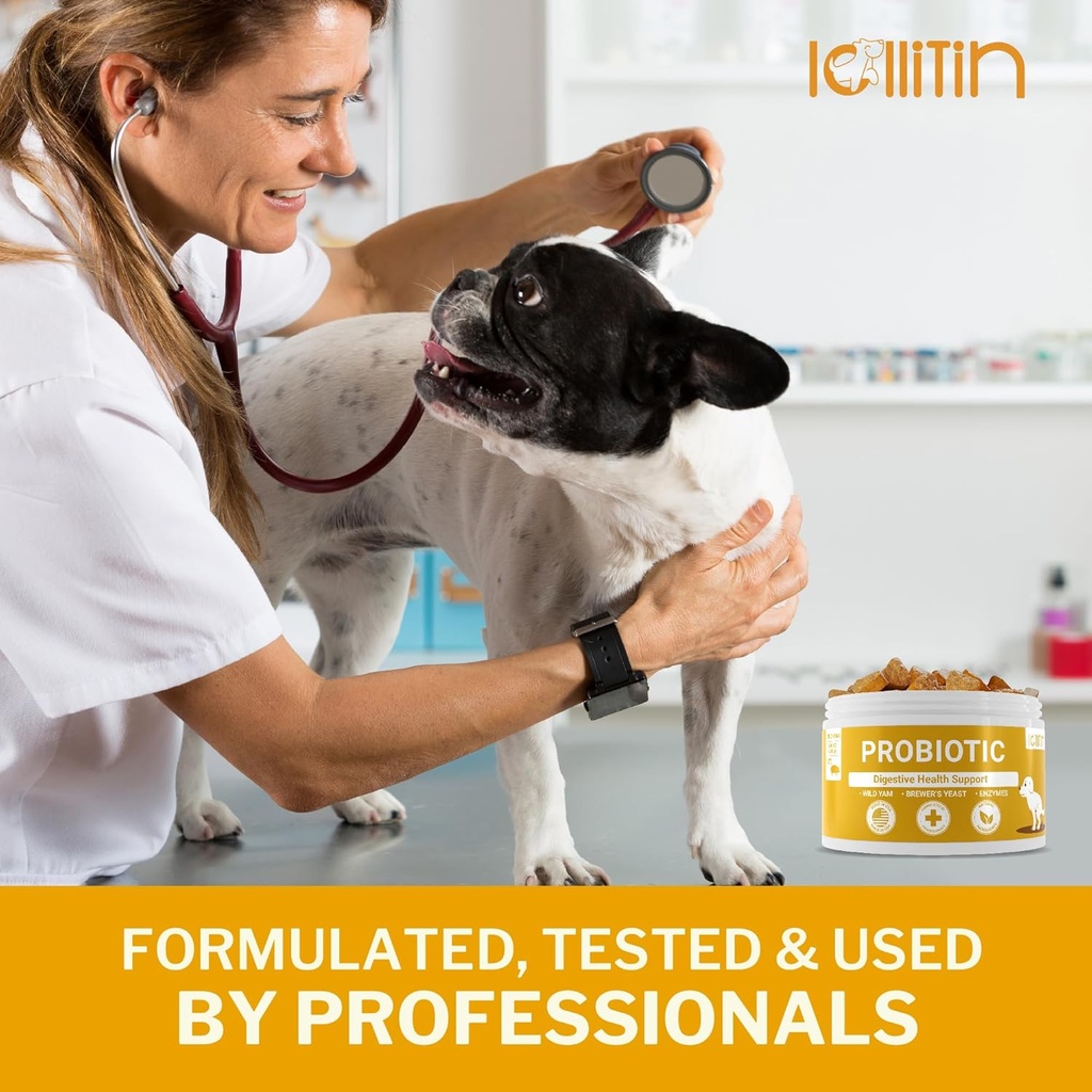 probiotics-for-dogs---support-gut-digest-4.jpg