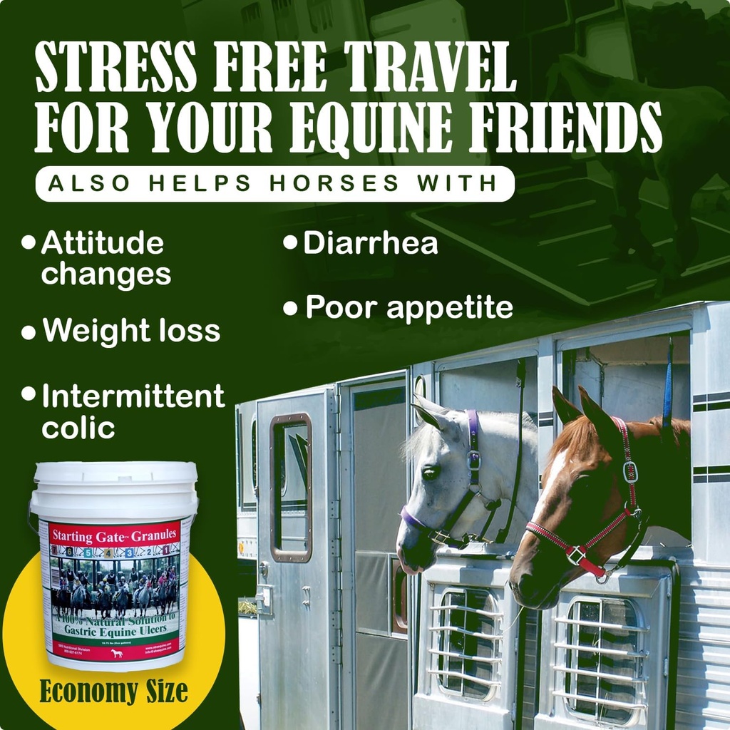 sbs-equine-starting-gate-granules---hors-4.jpg
