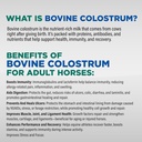 equine-total-gastro-ease-all-natural-ulc-4.jpg
