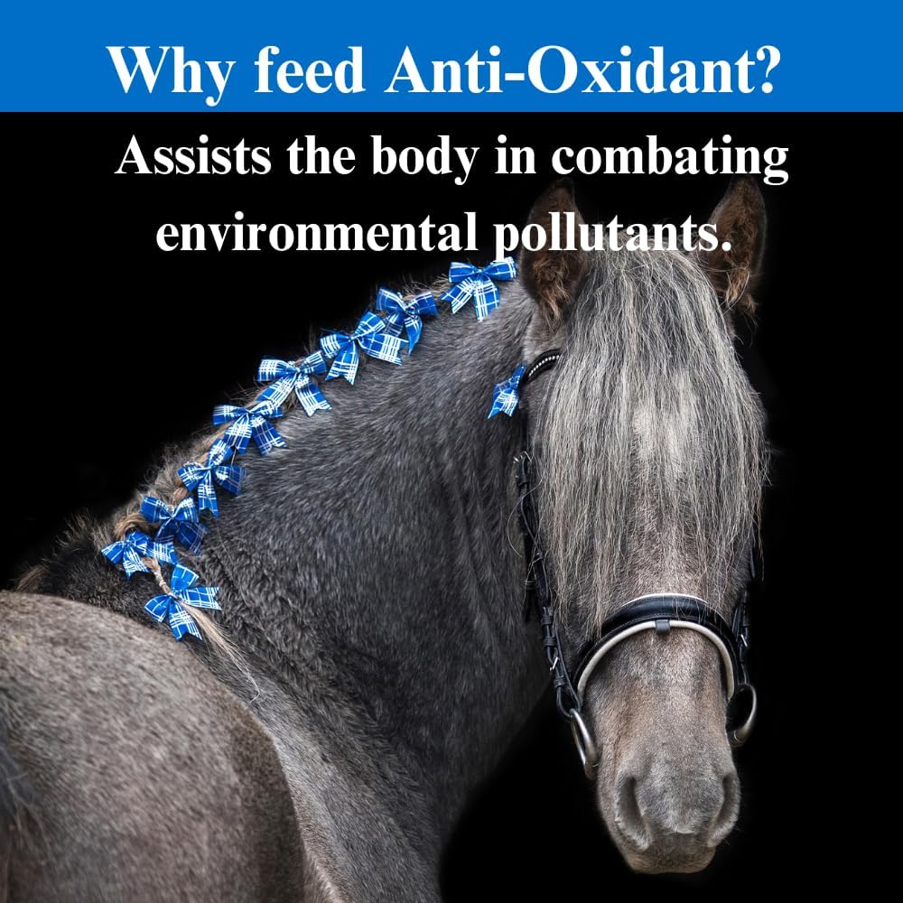 su-per-anti-oxidant-supplement-for-horse-4.jpg