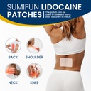 sumifun-4-lidocaine-pain-relief-patches--5.jpg