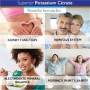 superior-labs-potassium-citrate-100-mg-p-6.jpg