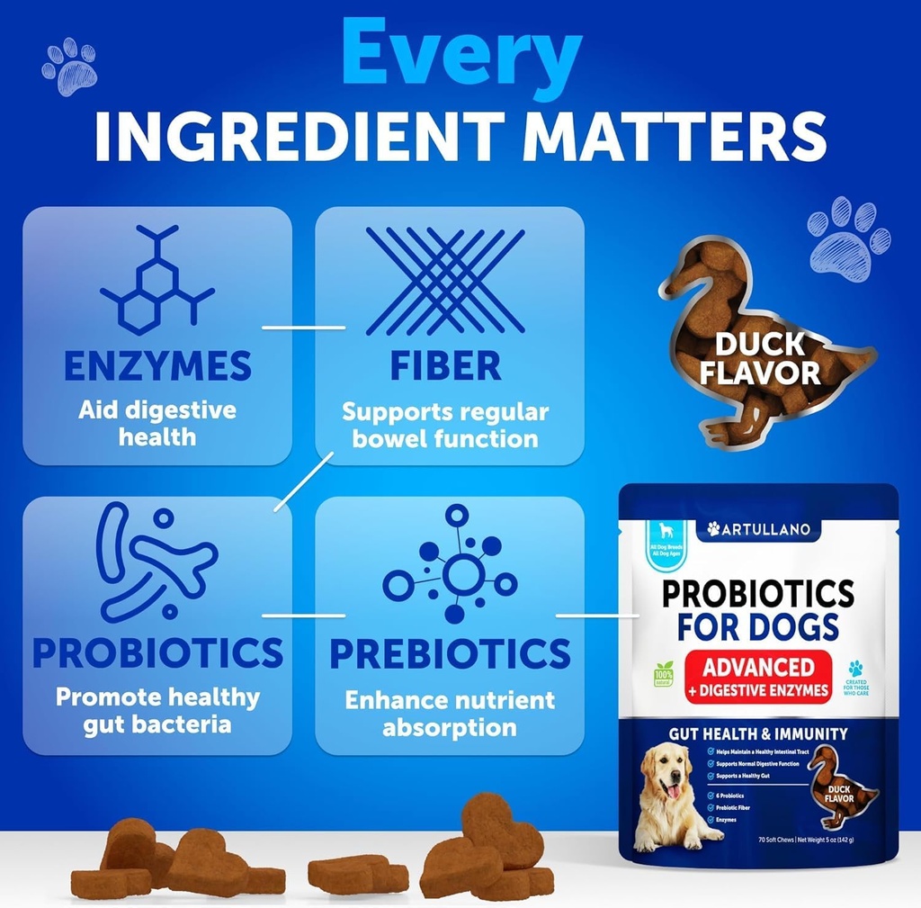 probiotics-for-dogs---support-gut-health-6.jpg
