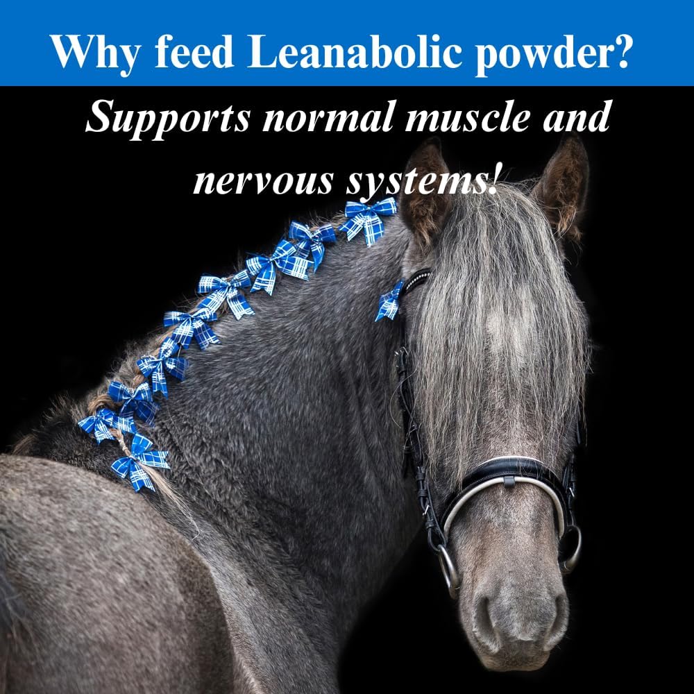 su-per-leanabolic-horse-muscle-supplemen-5.jpg