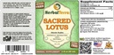 lotus-nelumbo-nucifera-glycerite-dried-s-2.jpg