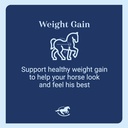 smart-simple-99-fat-horse-weight-gain-su-5.jpg
