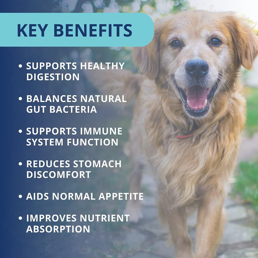 under-the-weather-pet-soft-dog-chew-supp-4.jpg