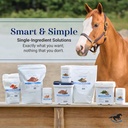 smart-simple-msm-pellets-helps-manage-ef-6.jpg