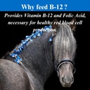 su-per-b-12-energy-horse-supplement---eq-4.jpg