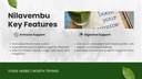 yogis-herbs-nilavembu-powder-andrographi-6.jpg