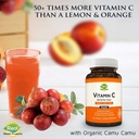 vitamin-c-supplement-from-camu-camu-pack-2.jpg