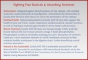 grizzly-wild-antarctic-krill-oil-all-nat-4.jpg