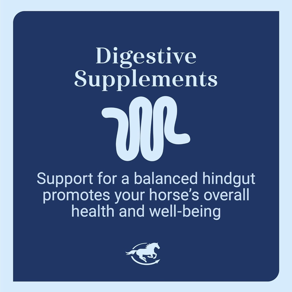 smartdigest-digestive-health-supplement--4.jpg