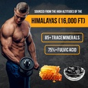 ashraf-naturals-king-honey-shilajit-plus-5.jpg