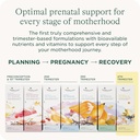 healthynest-postnatal-4th-trimester-pren-5.jpg