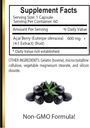 acai-berry-extract---acai-berry-dietary--5.jpg