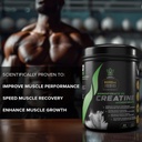 micronized-creatine-monohydrate-powder-6-4.jpg