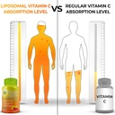 immune-support-bundle-liposomal-vitamin--3.jpg
