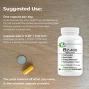 b2-400-pure-riboflavin---nervous-system--3.jpg