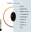 lutein-resists-blue-and-violet-light-hel-5.jpg