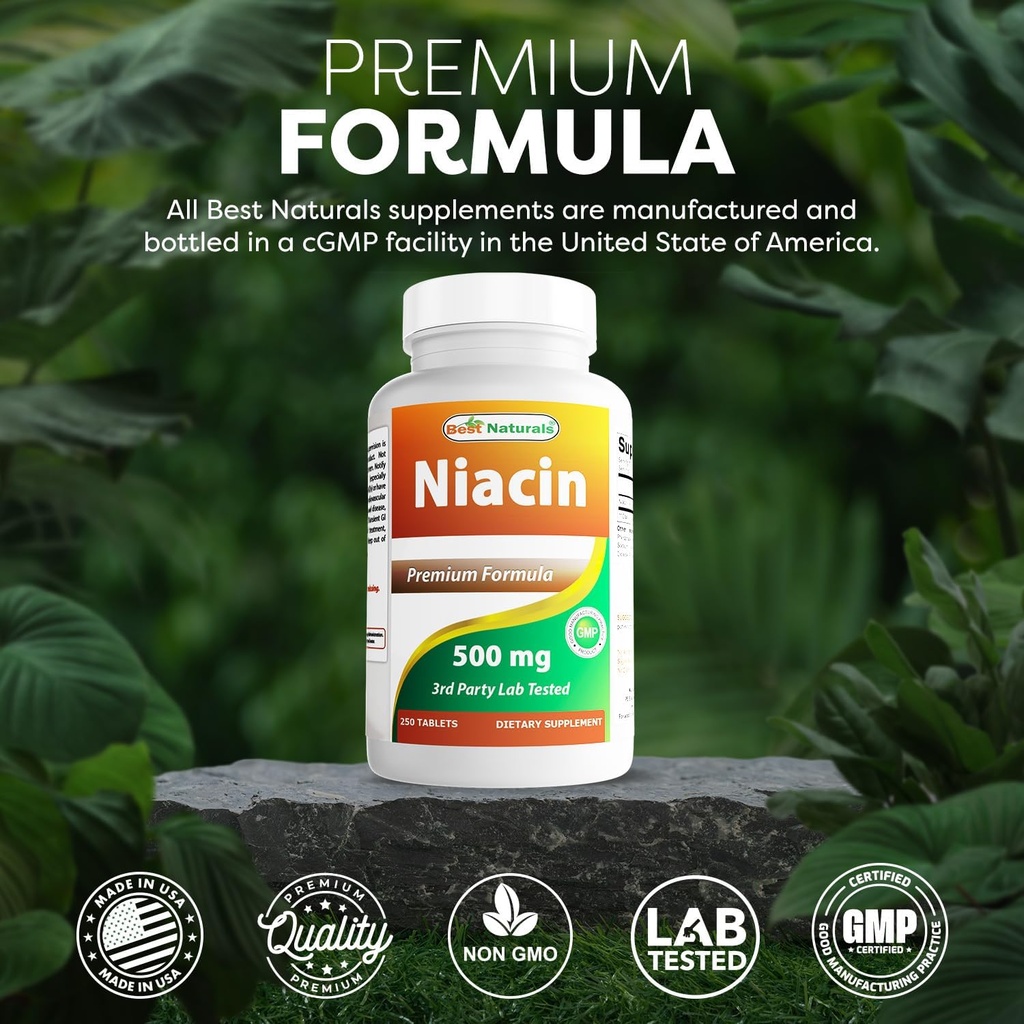 best-naturals-niacin-500mg-250-tablets-w-5.jpg