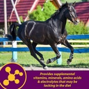 horse-health-maxum-crumbles-concentrated-3.jpg