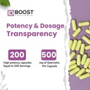 boostceuticals-quercetin-200-500mg-vegan-2.jpg