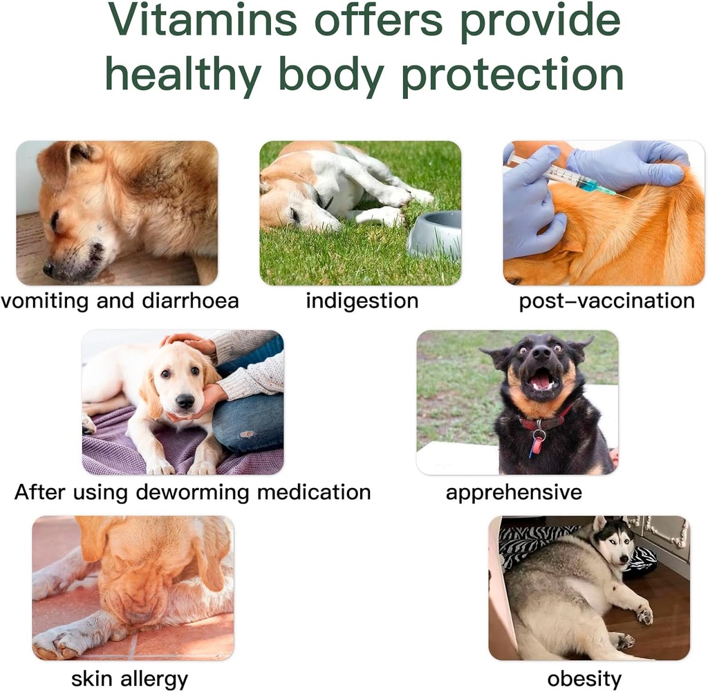 dog-vitamins-and-supplements-senior-pupp-4.jpg