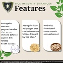 zenmen-astragalus-root-organic-tincture--3.jpg