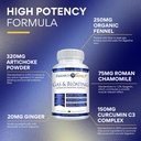 research-verified-gas-and-bloating---rel-2.jpg