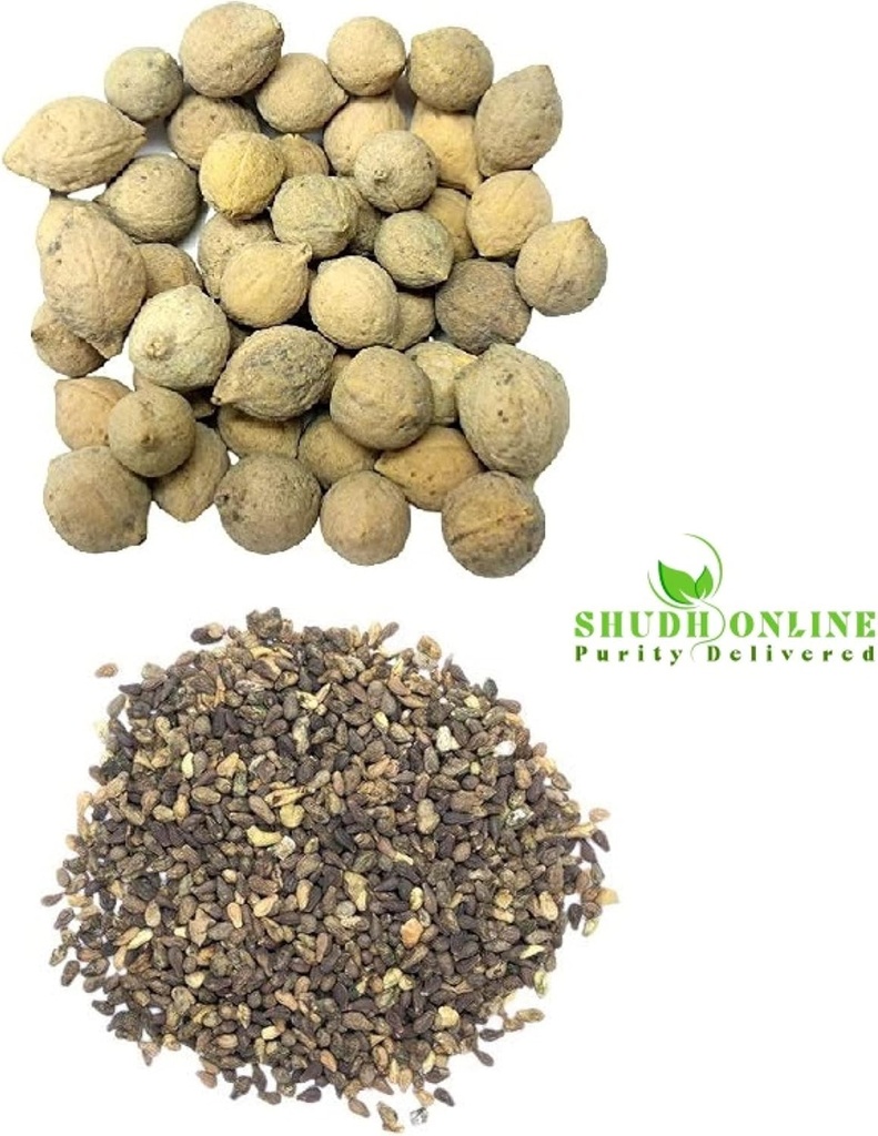 shudh-online-sivalingi-and-putrajivak-se-2.jpg
