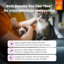 Zesty Paws Wild Alaskan Salmon Oil for Dogs and Cats- Skin and Coat Support, Omega 3 Supplement for Pets, 8.5oz 3
