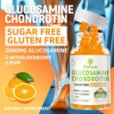 glucosamine-chondroitin-gummies-with-msm-3.jpg