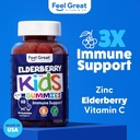 feel-great-kids-elderberry-gummies-with--2.jpg