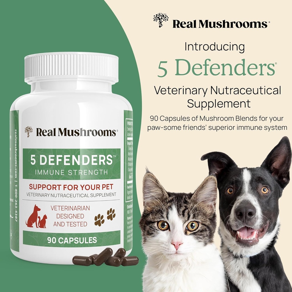 real-mushrooms-5-defenders-for-humans-45-6.jpg