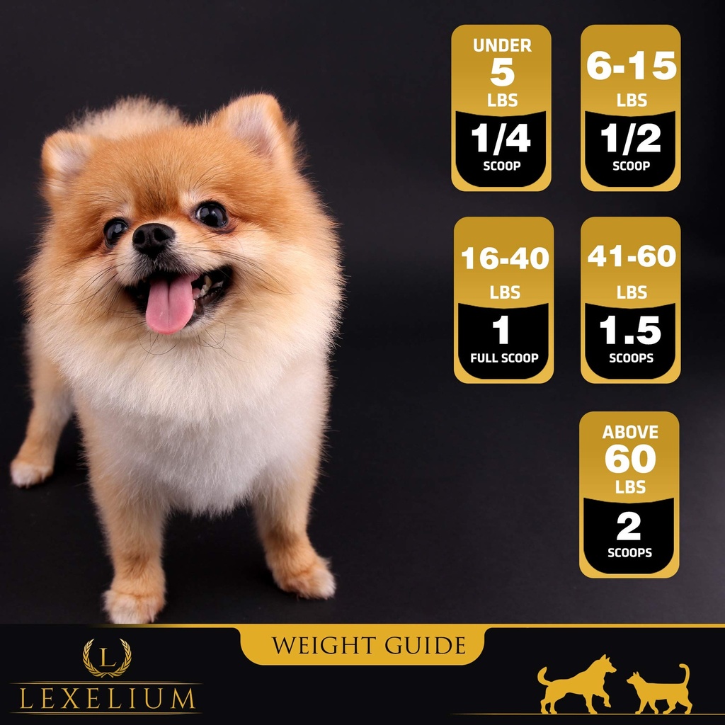 antioxidant-for-senior-dogs-and-cats-pro-6.jpg