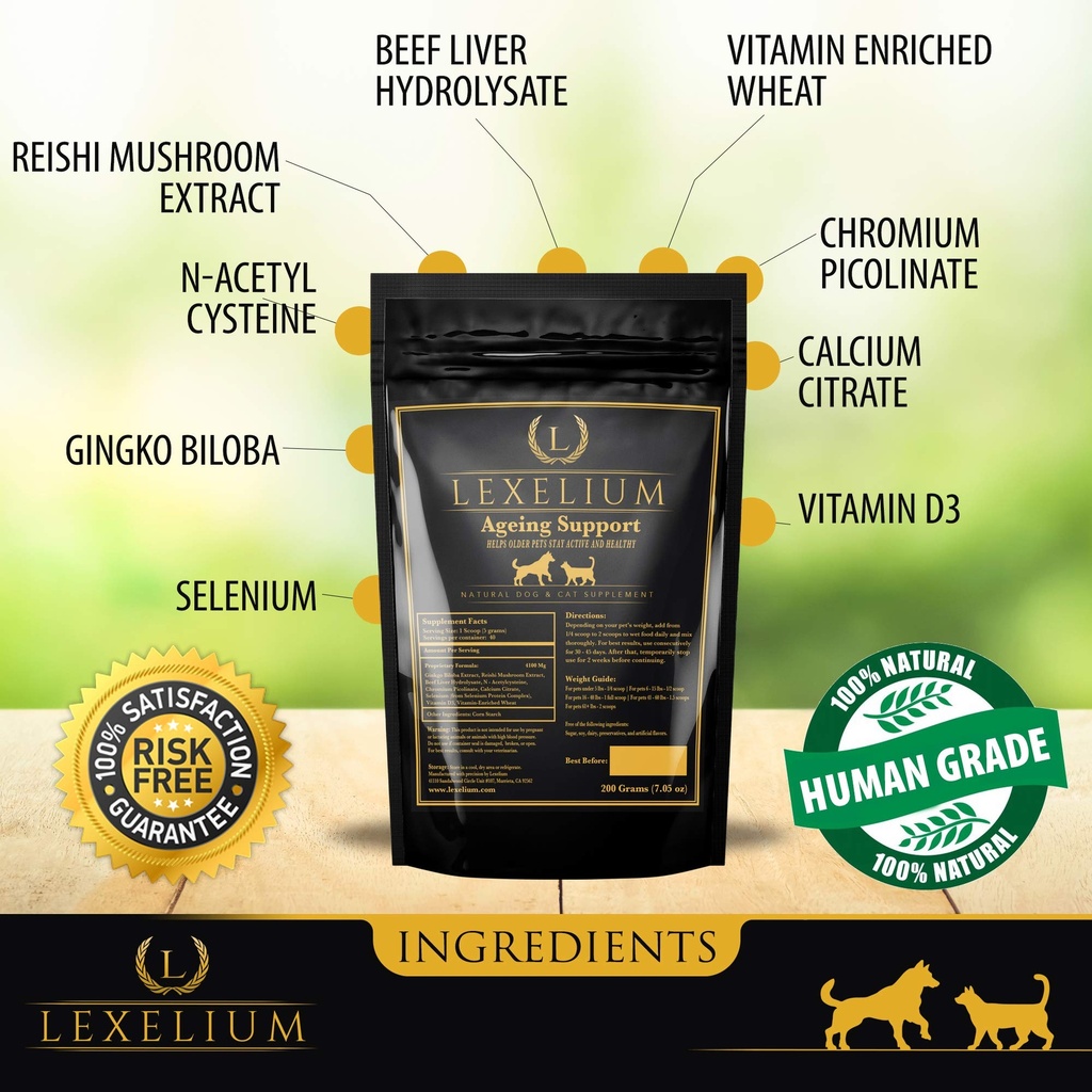 antioxidant-for-senior-dogs-and-cats-pro-3.jpg
