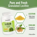 naturalslim-natural-soy-lecithin-granule-3.jpg