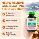 zenwise-health-no-bloat-digestive-enzyme-4.jpg
