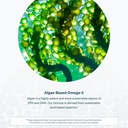 youtheory-ocean-friendly-omega-vegan-alg-5.jpg