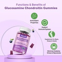 2-pack-glucosamine-chondroitin-gummies-e-4.jpg
