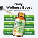 liposomal-glutathione-supplement-2000mg--4.jpg