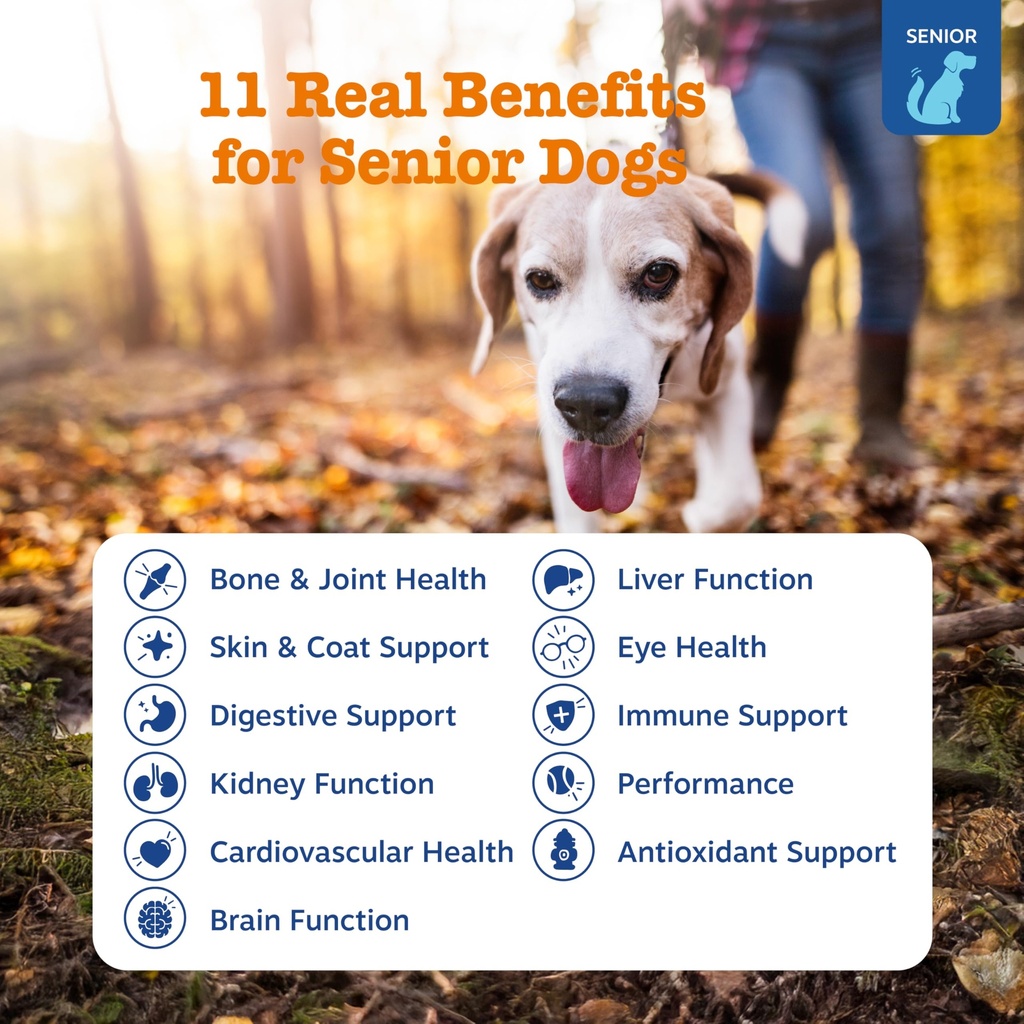 zesty-paws-senior-dog-multivitamin-treat-2.jpg