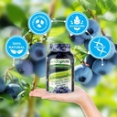 ashwagandha-gummies-high-potency-ashwaga-4.jpg