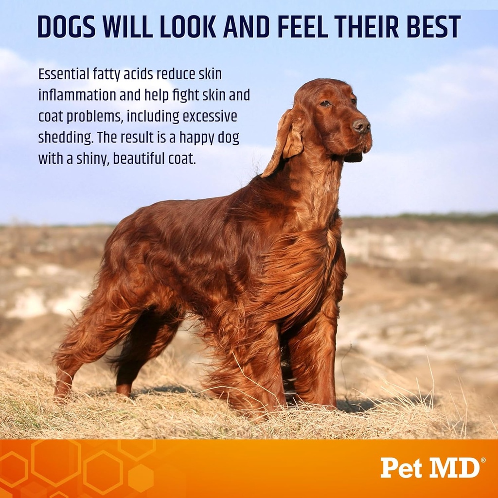 pet-md-salmon-omega-bites-for-dogs---ski-4.jpg