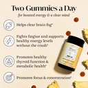 winged-wellness-rise-up-energy-focus-gum-3.jpg