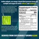 vegan-omega-3-gummies-with-zinc-and-magn-3.jpg