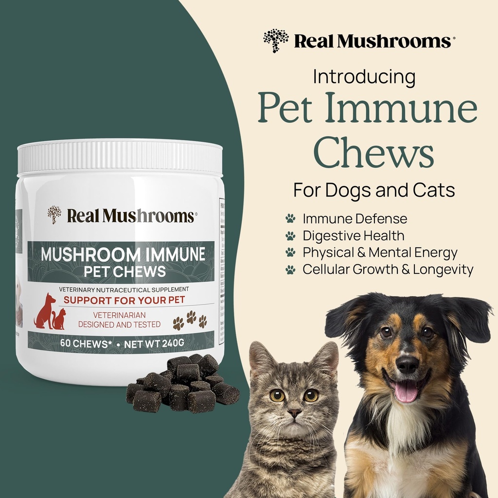 real-mushrooms-lions-mane-powder-for-hum-6.jpg