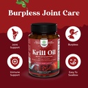 bundle-of-advanced-pms-support-supplemen-5.jpg