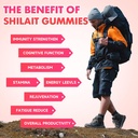shilajit-gummies-for-men-women-1000mg-sh-4.jpg